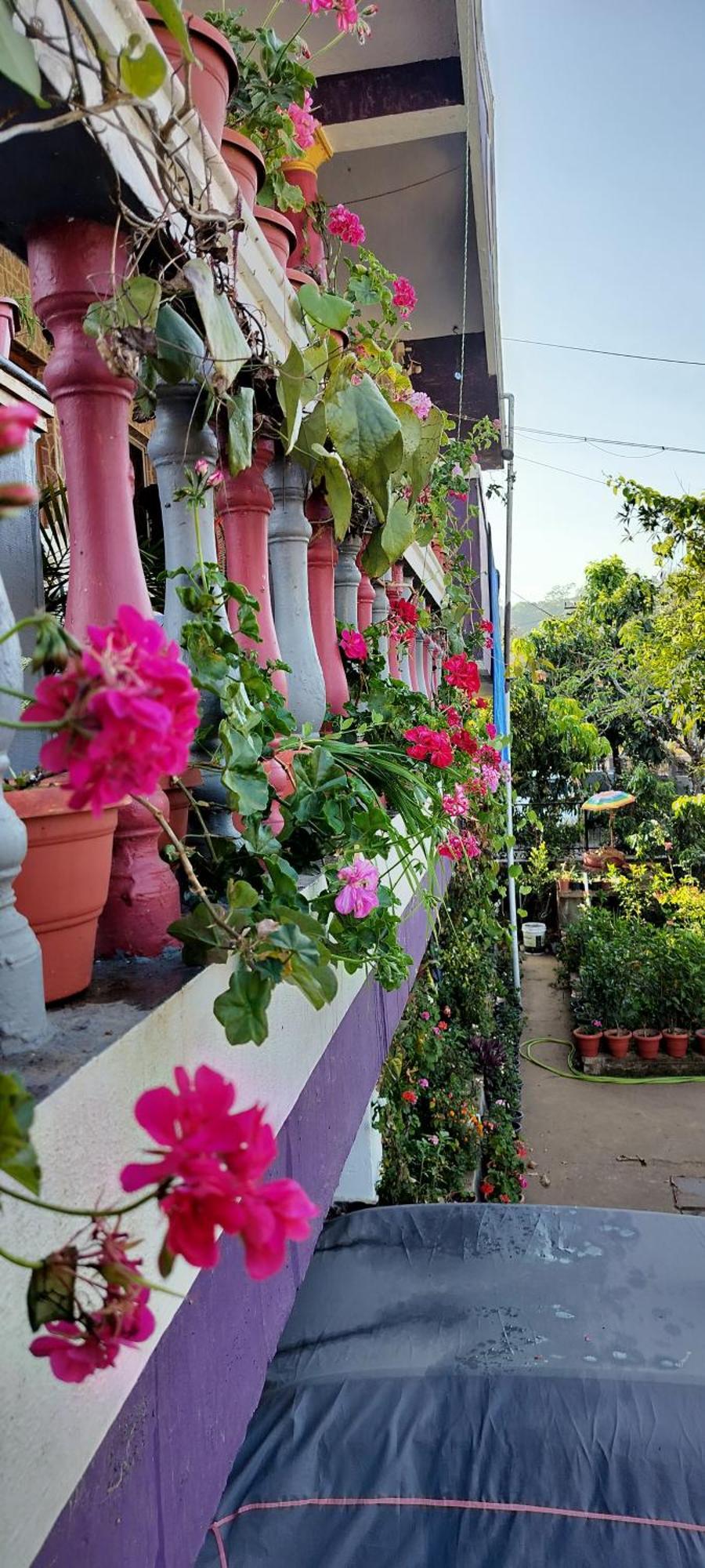 Royal Palm Homestay Мадикери Екстериор снимка